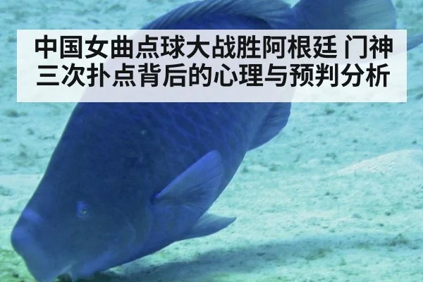 中国女曲点球大战胜阿根廷 门神三次扑点背后的心理与预判分析